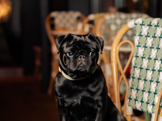 Rêva Rez-de-chaussée